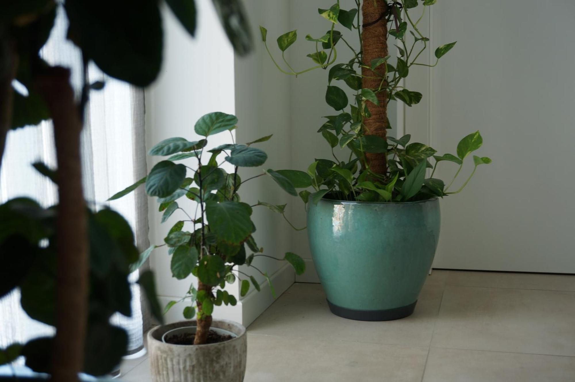 Green Stay Bergamo Bagian luar foto
